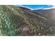 Stunning mountain home nestled amongst tall trees on a vast hillside at 900 Sawmill Creek Rd, Evergreen, CO 80439