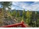 Mountain views framed by trees from a deck; sun highlights the trees and blue sky at 900 Sawmill Creek Rd, Evergreen, CO 80439