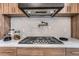 A detailed shot showcasing the kitchen cooktop, marble backsplash, and a pot filler faucet at 4055 S Niagara Way, Denver, CO 80237