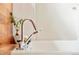 Close-up of a modern chrome faucet over a luxurious soaking tub; plant in the background at 1452 S Washington St, Denver, CO 80210