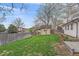 Lush green backyard with well-maintained lawn and mature trees, offering privacy and shade at 5060 W 71St Pl, Westminster, CO 80030