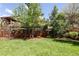 Large backyard with wood fence, mature trees, and lush landscaping at 13777 W Amherst Way, Lakewood, CO 80228