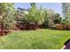 Large backyard with wood fence, mature trees, and lush landscaping at 13777 W Amherst Way, Lakewood, CO 80228