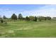 Expansive golf course view featuring lush green grass, trees, and golfers on the green at 23 Shetland Ct, Highlands Ranch, CO 80130