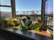 A large window displays the surrounding mountain views and beautiful plants and flowers on the window ledge at 1614 Secrest St, Golden, CO 80401