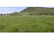 Expansive green field with views of the mountains, and homes in the distance at 5364 Dunraven Cir, Golden, CO 80403