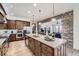 Spacious kitchen features a large island, stainless steel appliances, and natural wood cabinetry at 9552 E Silent Hills Pl, Lone Tree, CO 80124