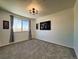 Well-lit bedroom with window, cityscape art and grey carpet at 245 Dunhill St, Castle Rock, CO 80104