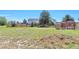 A spacious backyard with a wooden fence, grassy area, and mature trees, ideal for outdoor activities at 1740 Territory Cir, Parker, CO 80138