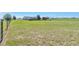 Expansive backyard with lush green grass and a long wooden fence surrounding the property at 1740 Territory Cir, Parker, CO 80138