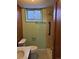 Basement bathroom features a shower, toilet, and vanity with green accents at 2060 S Washington St, Denver, CO 80210