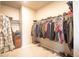 Spacious walk-in closet with organized shelving and ample storage space at 7108 Morrison Dr, Frederick, CO 80530