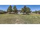 Wide backyard with mature trees, partially-grassed area, and the back of a grey two-story house at 7716 Shenandoah Dr, Elizabeth, CO 80107