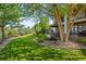 Expansive backyard featuring lush green lawn, mature trees, and a patio area perfect for outdoor entertaining at 2378 Plumb Pl, Erie, CO 80516