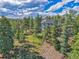 View of home with solar panels on the roof, nestled among tall trees in a tranquil setting at 6979 Weasel Way, Evergreen, CO 80439