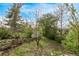Backyard featuring trees, a well-maintained lawn, and a shed, creating a private and green space at 683 Sunnyside St, Louisville, CO 80027