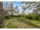 Lush backyard with green lawn, mature trees, and established landscaping, providing a peaceful outdoor space at 683 Sunnyside St, Louisville, CO 80027