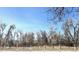 Outdoor park featuring leafless trees under a clear, bright blue sky at 13339 E Idaho Pl, Aurora, CO 80012