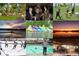 Collage of community events including a picnic, reception, Easter egg hunt, sailing, swimming, hockey and music at 5350 Yellowstone St, Bow Mar, CO 80123
