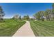 Scenic park view with lush green grass, mature trees, and a peaceful walking path, ideal for recreation at 14183 Madison Way, Thornton, CO 80602