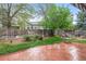 Tranquil backyard showcases a stamped concrete patio, mature trees, green grass, and decorative plantings at 5146 S Argonne St, Centennial, CO 80015