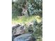 Mule deer relaxing in the tall grass and shrubbery in the backyard of this property at 5830 Jasper Pointe Cir, Castle Pines, CO 80108
