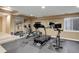 Basement gym featuring workout machines including a treadmill, bike, weights, and mirrors at 5830 Jasper Pointe Cir, Castle Pines, CO 80108