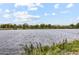 Scenic view of a pond surrounded by lush green vegetation in a peaceful outdoor setting at 48220 Shetland Dr, Bennett, CO 80102