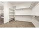 Walk-in closet featuring built-in shelving, rods, and carpet flooring at 3309 Thornwood Ct, Castle Rock, CO 80108