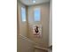 Bright staircase with natural light streaming through the windows and a painting of a rooster at 11235 S Neu Towne Cir, Parker, CO 80134