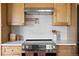 Modern kitchen featuring a stainless steel stove, wooden cabinets, and white countertops at 3930 S Spruce St, Denver, CO 80237