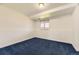 Finished basement with blue carpet and light-filled window at 5713 Whitechapel St, Castle Rock, CO 80104