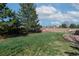 A spacious backyard features a large lawn, mature trees, and a wooden fence for privacy at 957 Rosedale St, Castle Rock, CO 80104