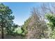 Scenic view features a clear blue sky, lush trees, and glimpses of surrounding landscape at 2437 E Geddes Pl, Centennial, CO 80122