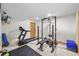 Home gym featuring exercise equipment, a mounted television and carpeted floors at 9916 Sand Cherry Way, Highlands Ranch, CO 80129