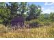 Mountainside Park sign amidst tall grasses, offering a natural escape and recreation area at 205 Wright St # 104, Lakewood, CO 80228