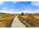 Scenic walking path surrounded by golden fields and clear blue sky, inviting for outdoor activities at 205 Wright St # 104, Lakewood, CO 80228