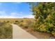 Scenic walking path through a grassy, natural area on a clear day at 205 Wright St # 104, Lakewood, CO 80228