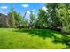 Expansive backyard with lush green grass, mature trees, and a charming fence. Perfect for outdoor activities at 7344 S Sheephorn Mtn, Littleton, CO 80127