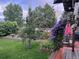 Backyard with lawn, patio, raised garden beds, flowers and mature trees providing shade at 6731 Devinney St, Arvada, CO 80004