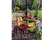 Outdoor table laden with freshly harvested vegetables and squash from the garden at 6731 Devinney St, Arvada, CO 80004