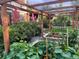 Lush garden featuring a wooden pergola, raised garden beds, and a variety of plants at 6731 Devinney St, Arvada, CO 80004