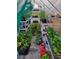 Interior view of a greenhouse filled with various plants and gardening supplies at 6731 Devinney St, Arvada, CO 80004