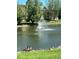 Serene pond with a fountain, attracting local geese, and enhancing the natural beauty of the surroundings at 3144 S Wheeling Way # 401, Aurora, CO 80014