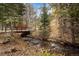 Peaceful creek view featuring a bridge and flowing water amidst a lush, wooded landscape at 2971 Fall River Rd, Idaho Springs, CO 80452