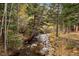 Serene creek surrounded by lush greenery, creating a peaceful natural environment at 2971 Fall River Rd, Idaho Springs, CO 80452