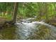 A creek flowing through a lush, green forest, providing a serene and natural setting at 2971 Fall River Rd, Idaho Springs, CO 80452
