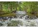 Scenic image of a rushing creek with clear water flowing through a lush green forest setting at 2971 Fall River Rd, Idaho Springs, CO 80452