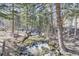 Scenic creek with clear water flowing through trees; picnic bench and fire pit along the bank at 2971 Fall River Rd, Idaho Springs, CO 80452