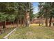 Inviting backyard featuring lawn, wooden fence and unique owl sculpture, offering serene views at 2971 Fall River Rd, Idaho Springs, CO 80452